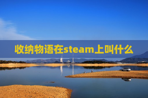 收纳物语在steam上叫什么