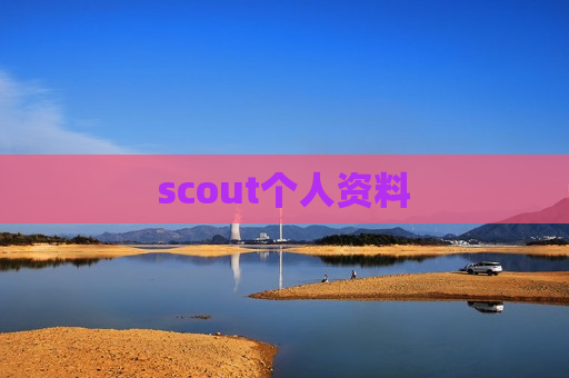 scout个人资料