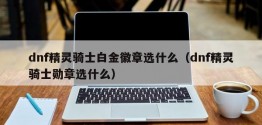 dnf精灵骑士白金徽章选什么（dnf精灵骑士勋章选什么）