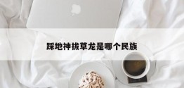 踩地神拔草龙是哪个民族