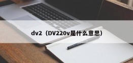 dv2（DV220v是什么意思）