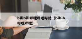 bilibili哔哩哔哩哔站（bibib哔哩哔哩）