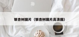 银杏树图片（银杏树图片高清图）