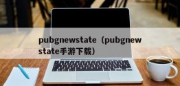 pubgnewstate（pubgnewstate手游下载）