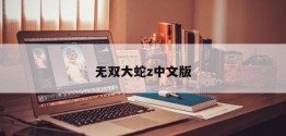 无双大蛇z中文版