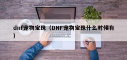 dnf宠物宝珠（DNF宠物宝珠什么时候有）