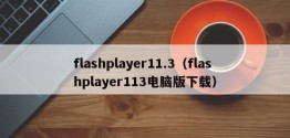 flashplayer11.3（flashplayer113电脑版下载）