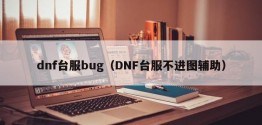 dnf台服bug（DNF台服不进图辅助）