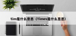 tim是什么意思（Times是什么意思）